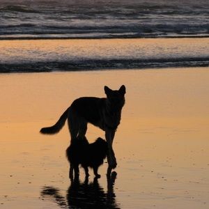 Meet your Posher, Jill